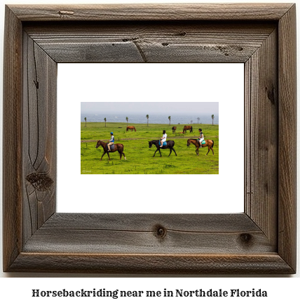 horseback riding near me in Northdale, Florida